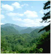 宝鸡太白山天气 宝鸡太白山天气