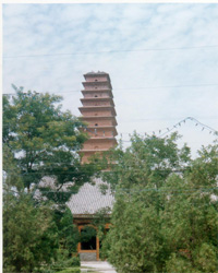 渭南南寺唐塔天气 渭南南寺唐塔天气
