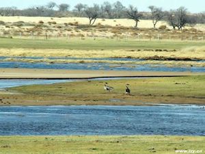 渭南三河湿地自然保护区天气 渭南三河湿地自然保护区天气