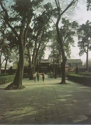 韩城市博物馆天气 韩城市博物馆天气