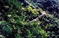 商洛老君山天气 商洛老君山天气