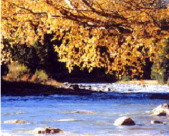 西宁植物园天气 西宁植物园天气