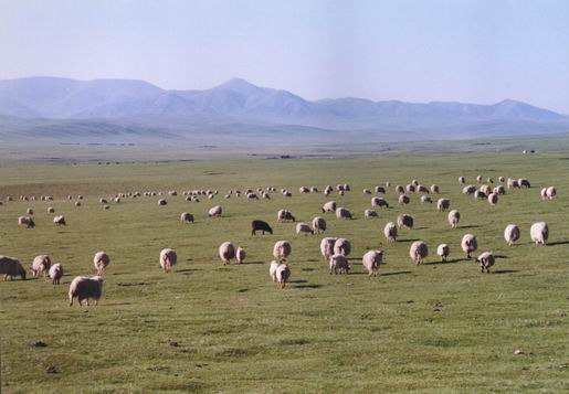 玉树海北州金银滩草原天气