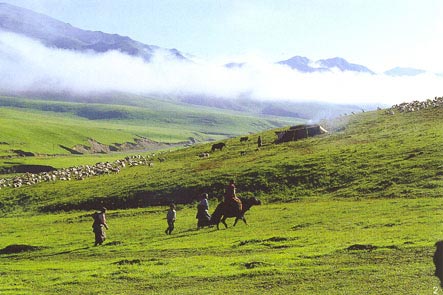 海西天峻山天气 海西天峻山天气
