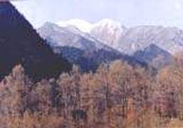 海西柏树山天气 海西柏树山天气