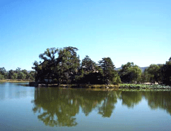 惠农避暑山庄罗家园天气 惠农避暑山庄罗家园天气