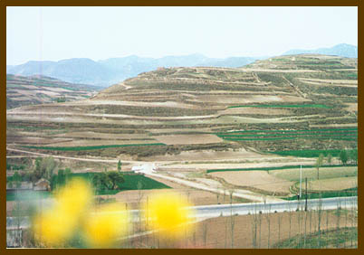 固原安西王府天气 固原安西王府天气