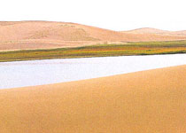 乌兰金子海天气 乌兰金子海天气