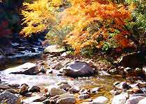 凤县嘉陵江源头风景区天气 凤县嘉陵江源头风景区天气