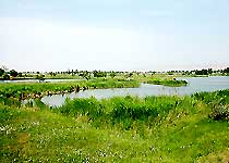 合阳洽川风景名胜区天气 合阳洽川风景名胜区天气