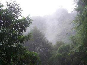 乳源石坑崆峰天气 乳源石坑崆峰天气