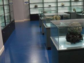 长安博物馆天气 长安博物馆天气