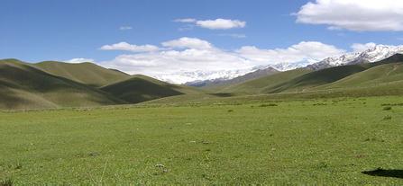 和田米切提清真寺天气 和田米切提清真寺天气