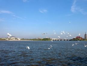 嘉兴九龙山滨海旅游区天气 嘉兴九龙山滨海旅游区天气