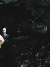 仙居石仓洞天气 仙居石仓洞天气