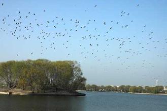 兴化乌巾荡风景区天气 兴化乌巾荡风景区天气