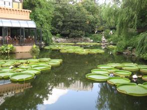 泰兴人民公园天气 泰兴人民公园天气