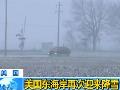 美国东海岸再次迎来降雪
