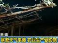 新疆寒流天气来袭农业生产受影响