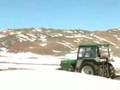 新疆哈密暴雪围困天山牧场四万只牛羊断草断粮
