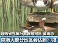 “立夏”蔬菜集中上市津城菜价持走低