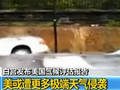时尚主播纯棉诱惑“耍帅”春日踏青装