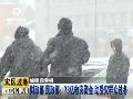 长沙雾霾围城狗狗也中“霾伏”