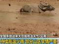 云南持续高温少雨部分山区旱情严重