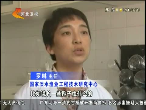 今朝求真 传吃鲶鱼会勾病 是真的吗?
