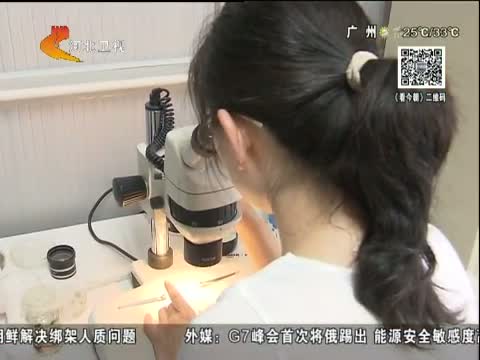 网传维生素B1驱蚊有神效 是真的吗?