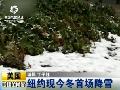 巴西东北部暴雨洪灾致16人遇难