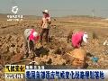 2013年全球碳排放将创纪录
