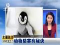 我国首部适应气候变化战略规划落地
