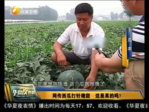 网传西瓜打针增甜 这是真的吗?