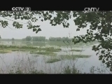 小龙虾都重金属超标?