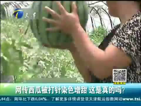 网传西瓜被打针染色增甜 这是真的吗?