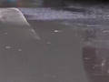 暴雨致遂渝铁路边坡溜坍目前抢修完毕