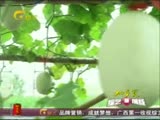 紫薯比红薯更能抗癌 是真的吗?
