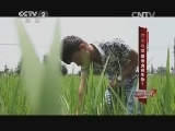 四川地震后出现史前生物?