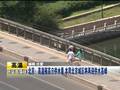 广东桉树王国遭多地大面积倒伏
