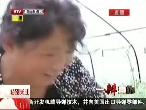 北京 一辨真伪：打针西瓜是真的吗?