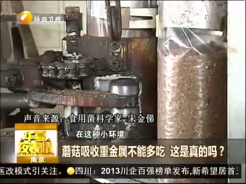 蘑菇吸收重金属不能多吃 这是真的吗?