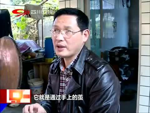 这是真的吗：手心煎鱼有窍门