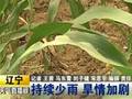 实拍合肥暴雨浸泡大量汽车
