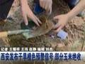 甘肃兰州：强降雨突袭街道瞬间成河