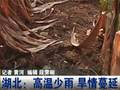 云南鲁甸发生6.5级地震遇难人数升至221人