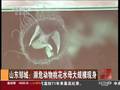 广西贺州高温天两摩托车自燃紧急灭火