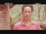 人体也会爆炸?