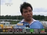注色西瓜是真的吗 安徽合肥：西瓜注射色素?市民相信瓜农否定