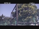 电动车装遮阳伞犹如“加把刀”?